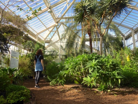 Inside the glasshouse, Meise Plantentuin